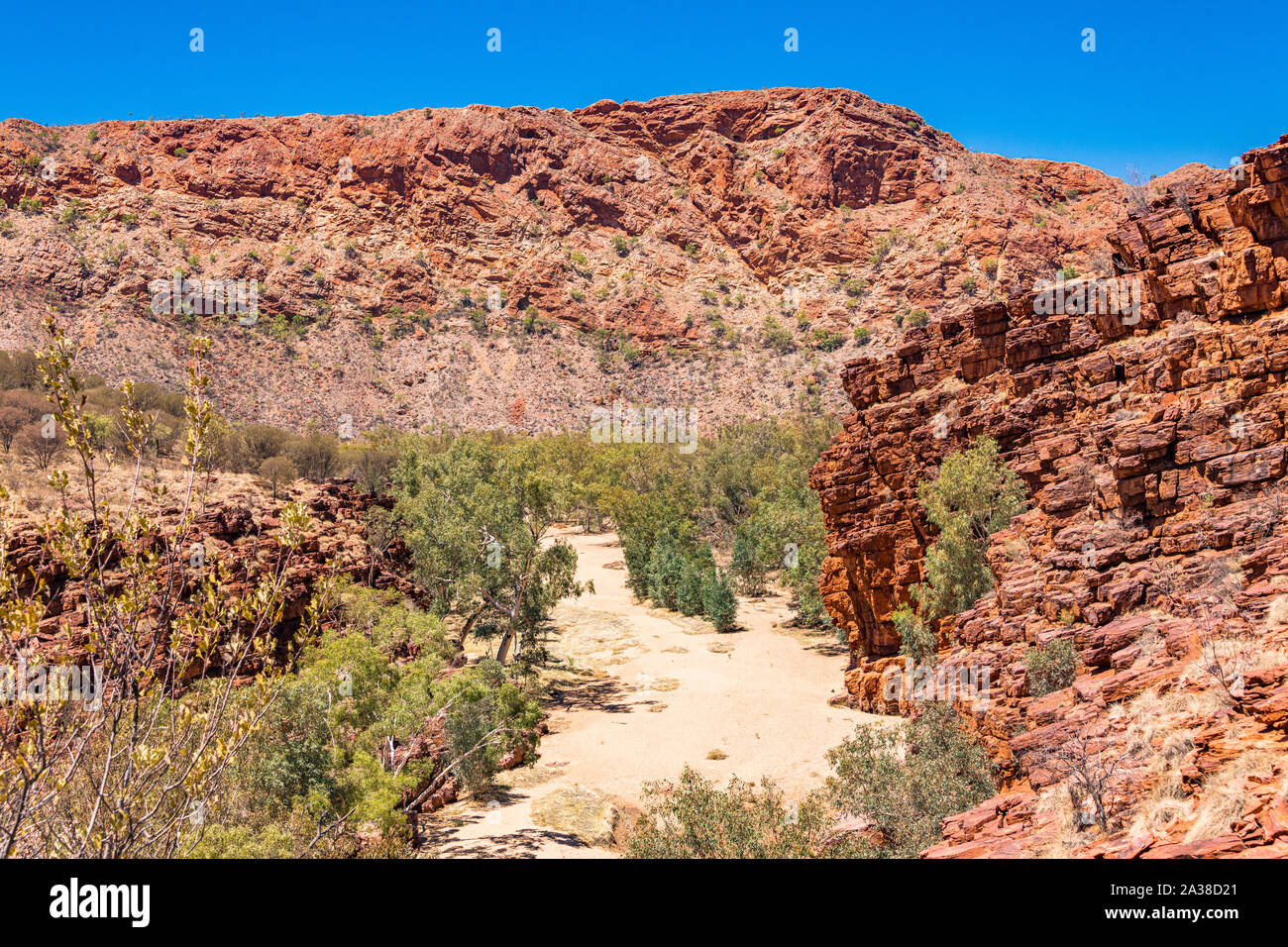 Die Fernbedienung Trephina Gorge, im Osten MacDonnell Ranges, im Northern Territory, Australien Stockfoto