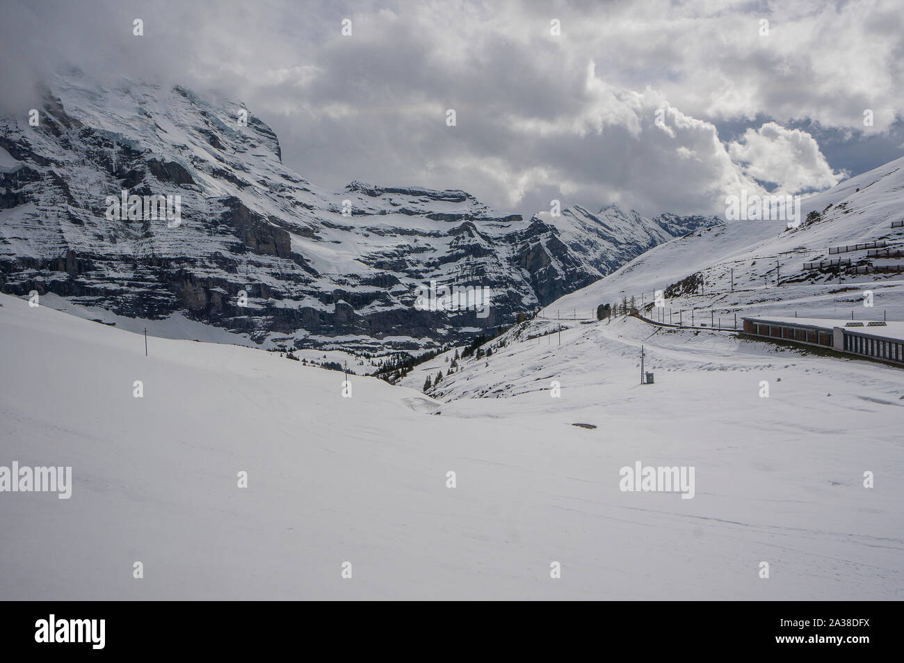 Zug durch die Landschaft fahren, Jungfrau Region, Berner Alpen, Schweiz Stockfoto