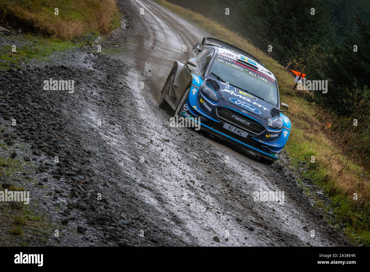 Pontus Tidemand (Schweden) Fahrt durch die Myherin Stufe der Wales Rally GB 2019 im Ford Fiesta RS WRC World Rally Car Stockfoto