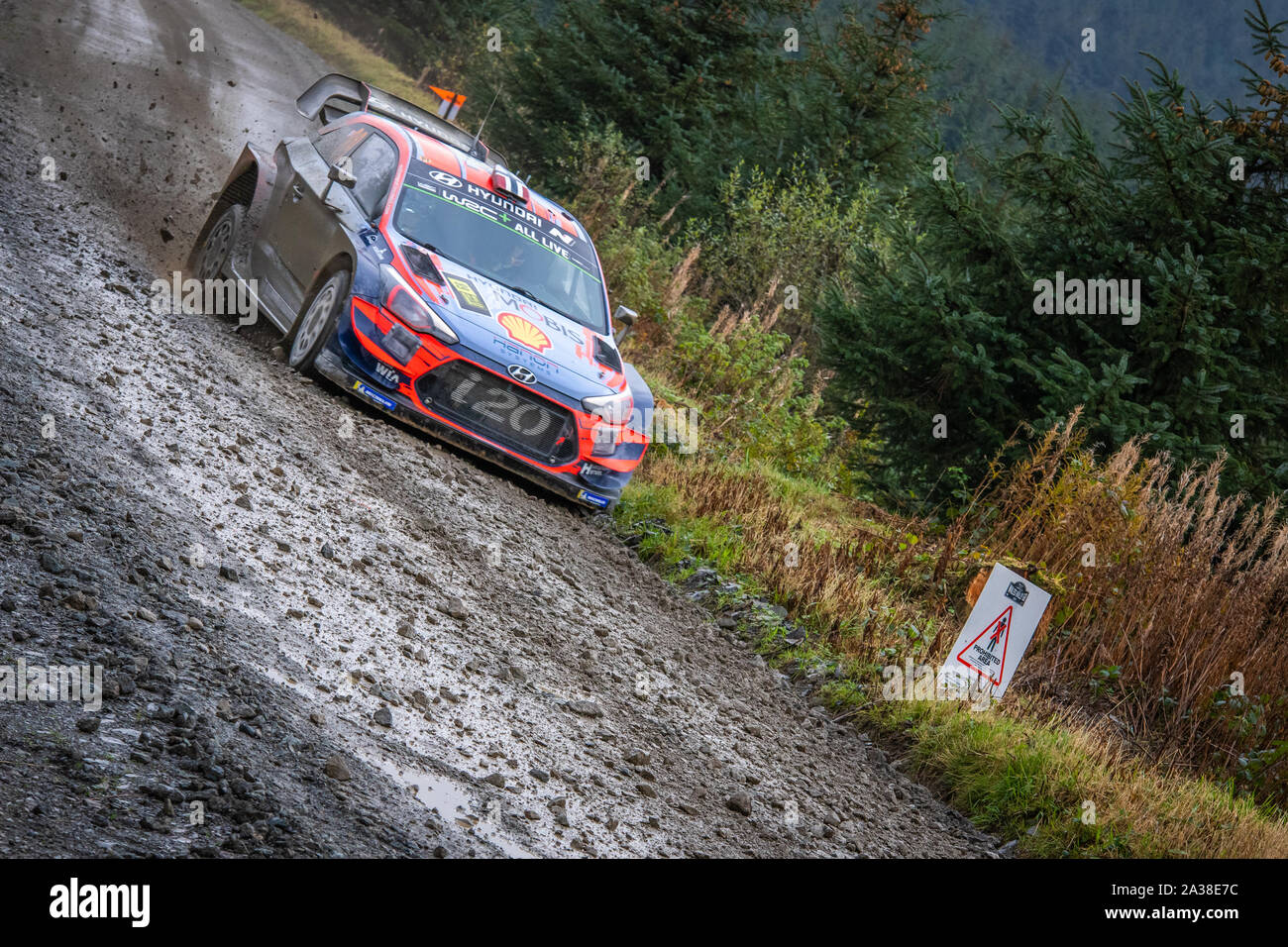 Andreas Mikkelsen (Norwegen) Fahrt durch die Myherin Stufe der Wales Rally GB2019 in Hyundai i20 WRC World Rally Car Stockfoto