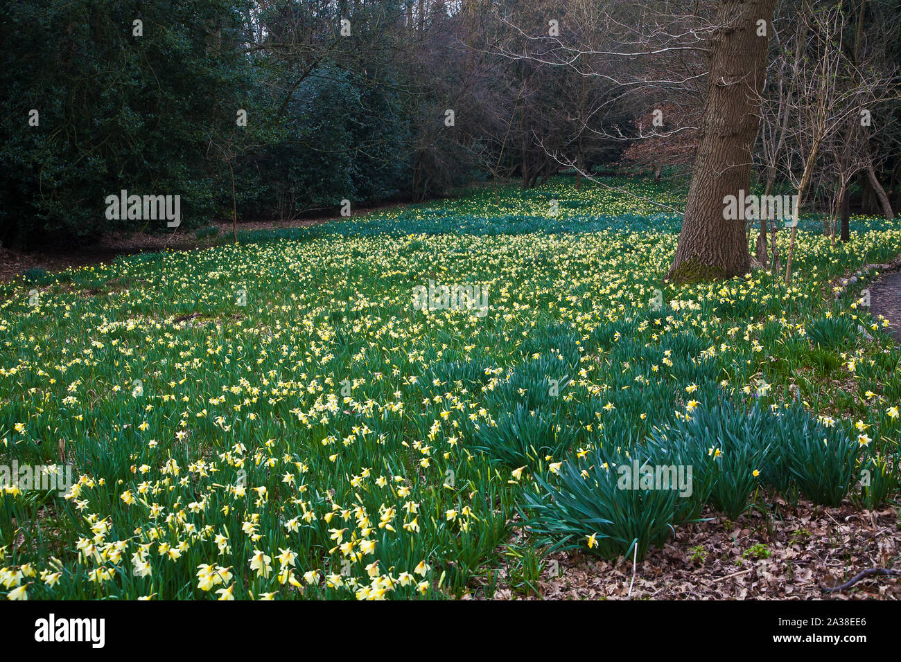 Warley Place Stockfoto