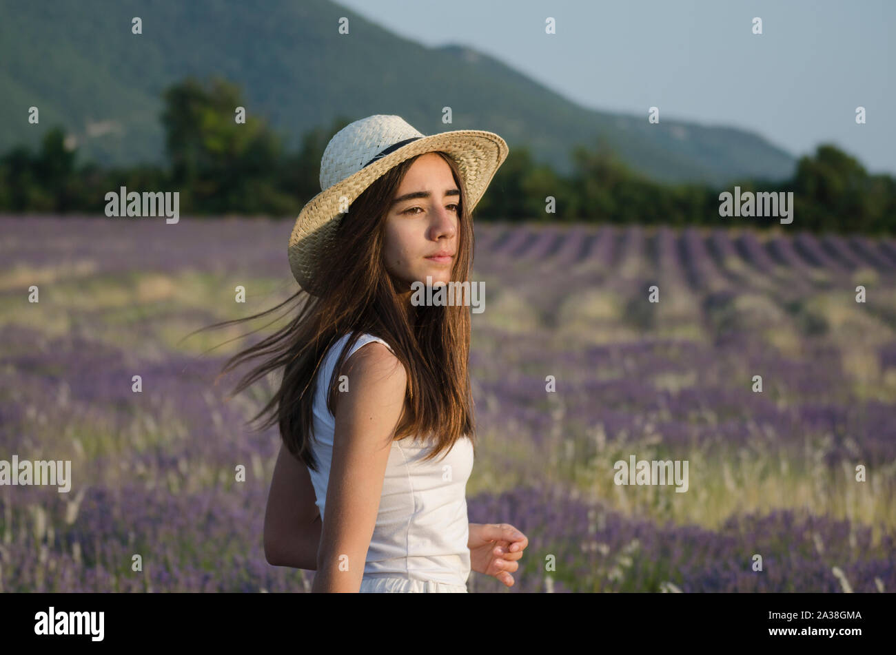 Junges Mädchen stehen in einem Lavendelfeld in der Provence, Frankreich Stockfoto