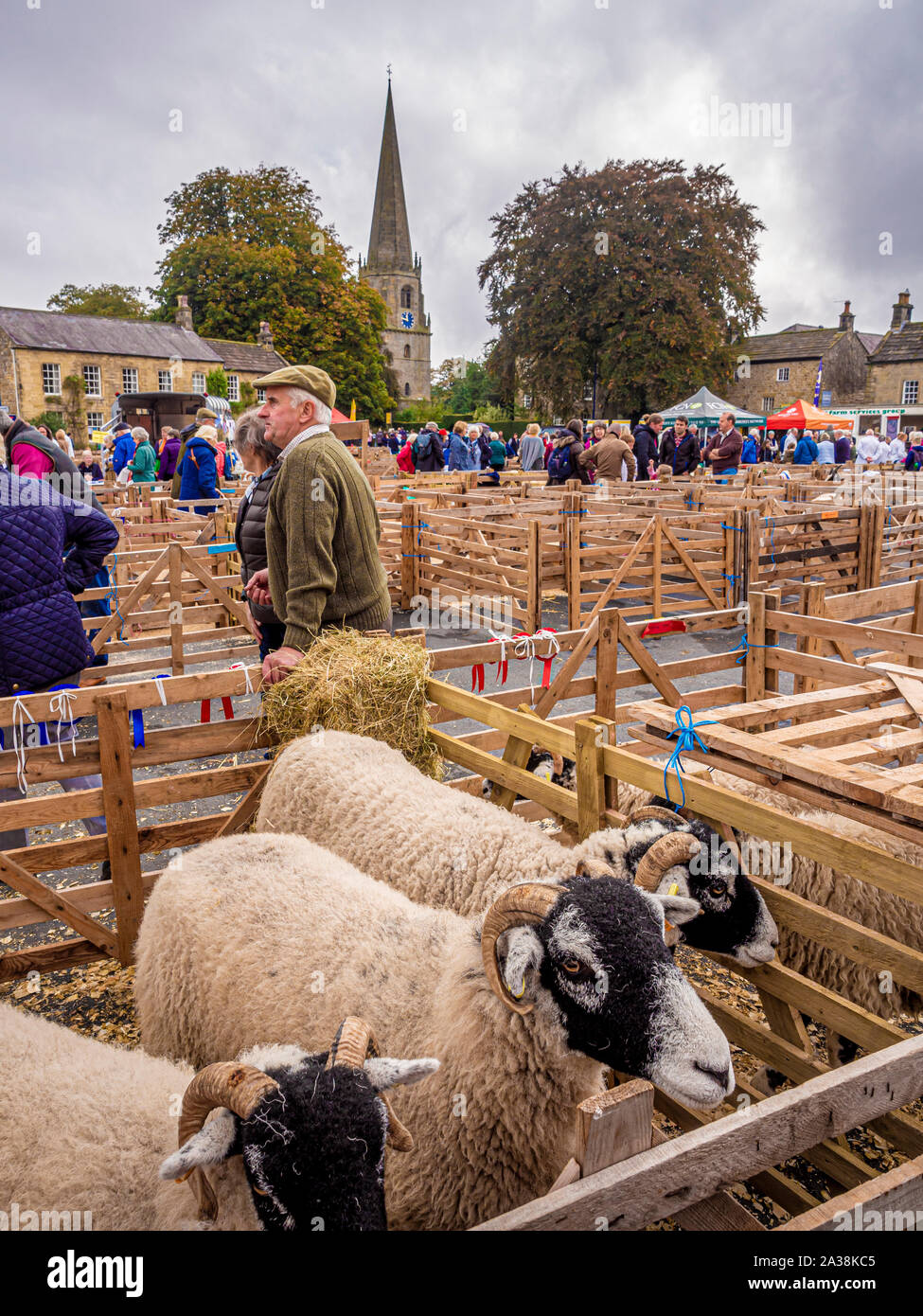 Masham Schafe Messe Stockfoto