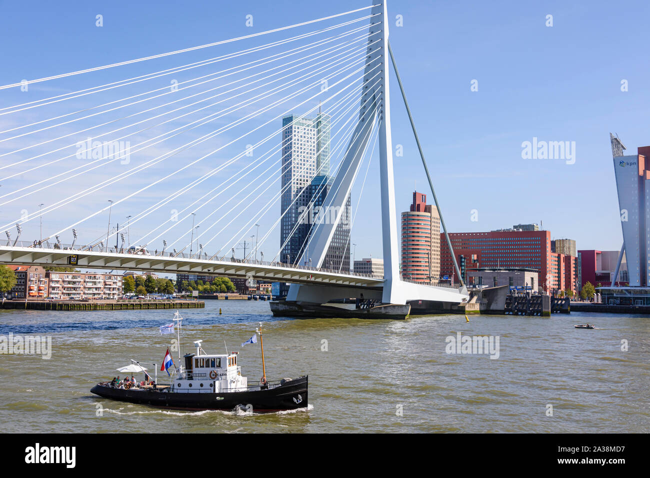 Erasmusbrug (Erasmus Brücke), über die Nieuwe Maas, Rotterdam, Niederlande. Stockfoto