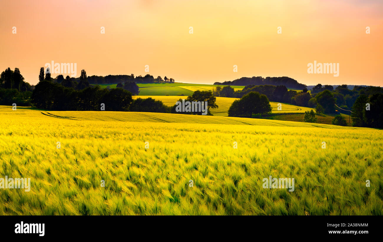 Verträumte Landschaft mit Hügeln, Bäume, Felder und Wald bei Sonnenuntergang Stockfoto