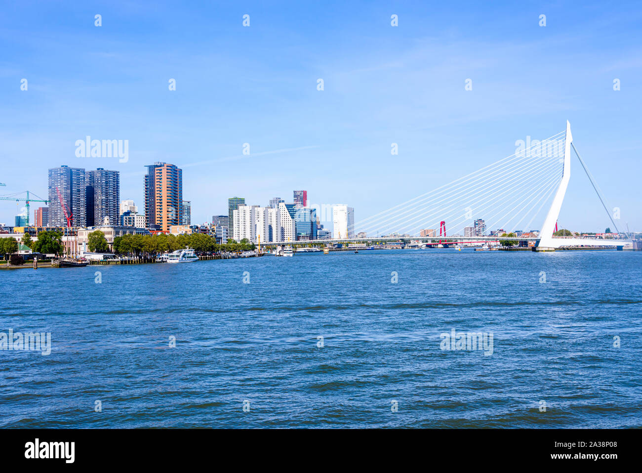 Erasmusbrug (Erasmus Brücke), über die Nieuwe Maas, Rotterdam, Niederlande. Stockfoto