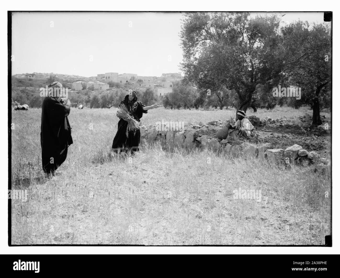 Ruth Serie. Beit Sahur und Bethlehem. Ernte, etc. Stockfoto