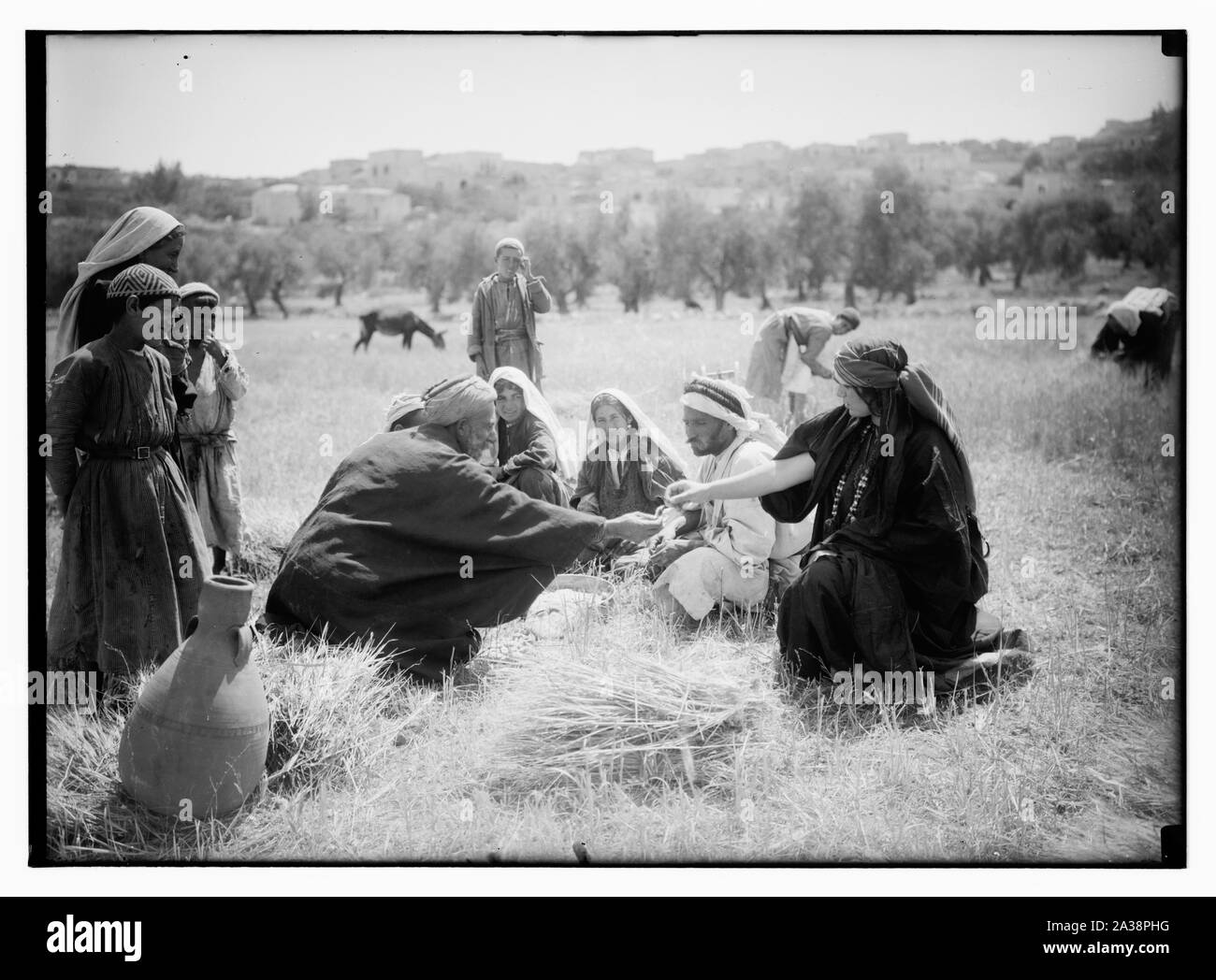 Ruth Serie. Beit Sahur und Bethlehem. Ernte, etc. Stockfoto