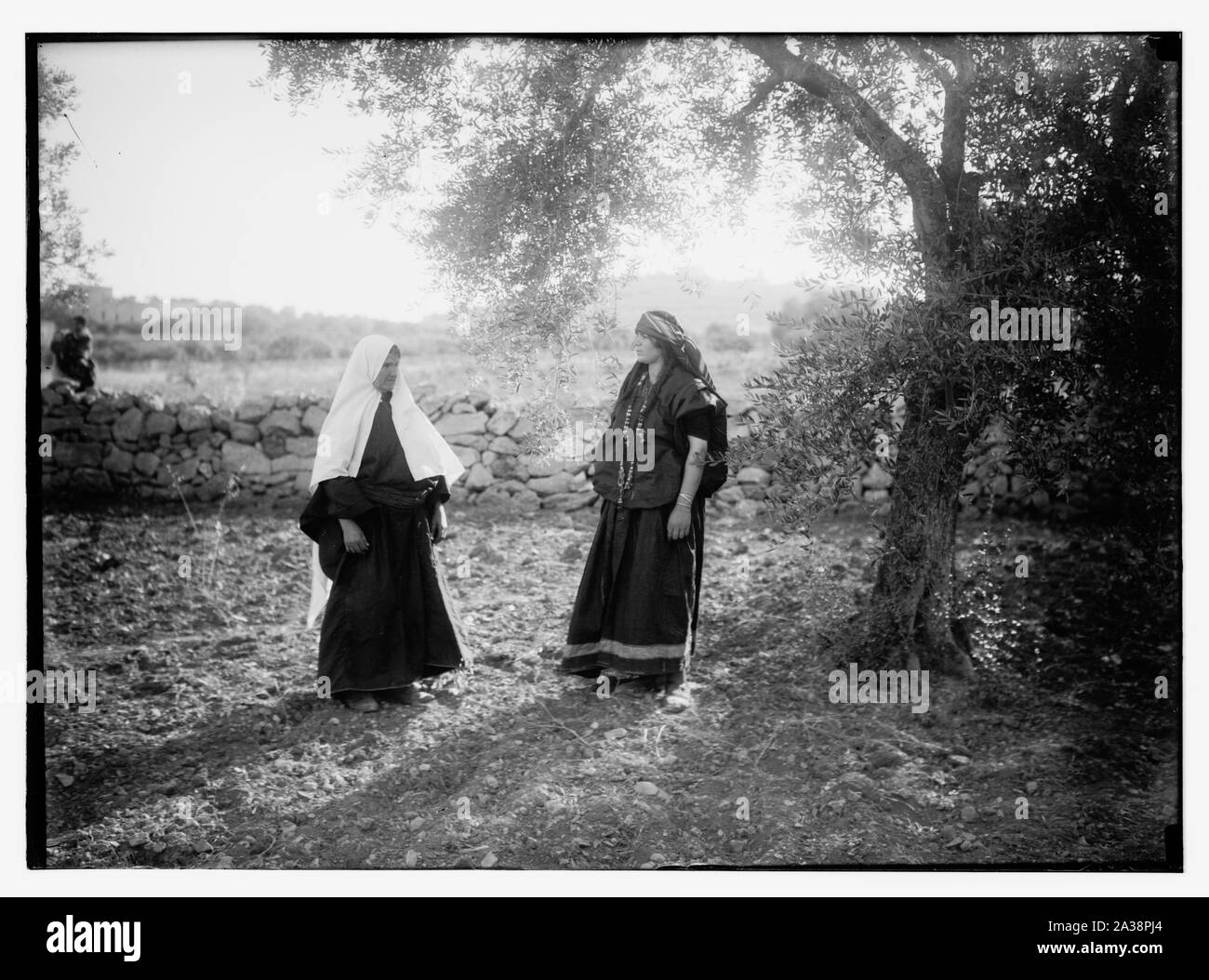 Ruth Serie. Beit Sahur und Bethlehem. Ernte, etc. Stockfoto