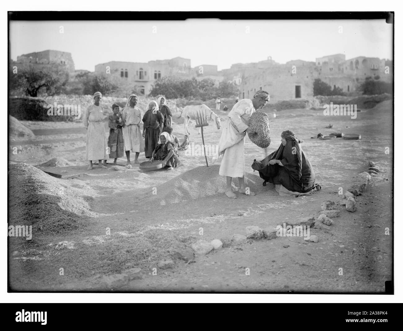 Ruth Serie Stockfoto