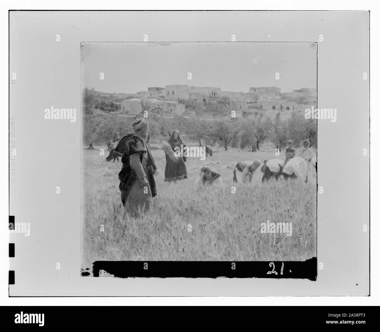 Ruth, die Moabitin, (und andere). Stockfoto