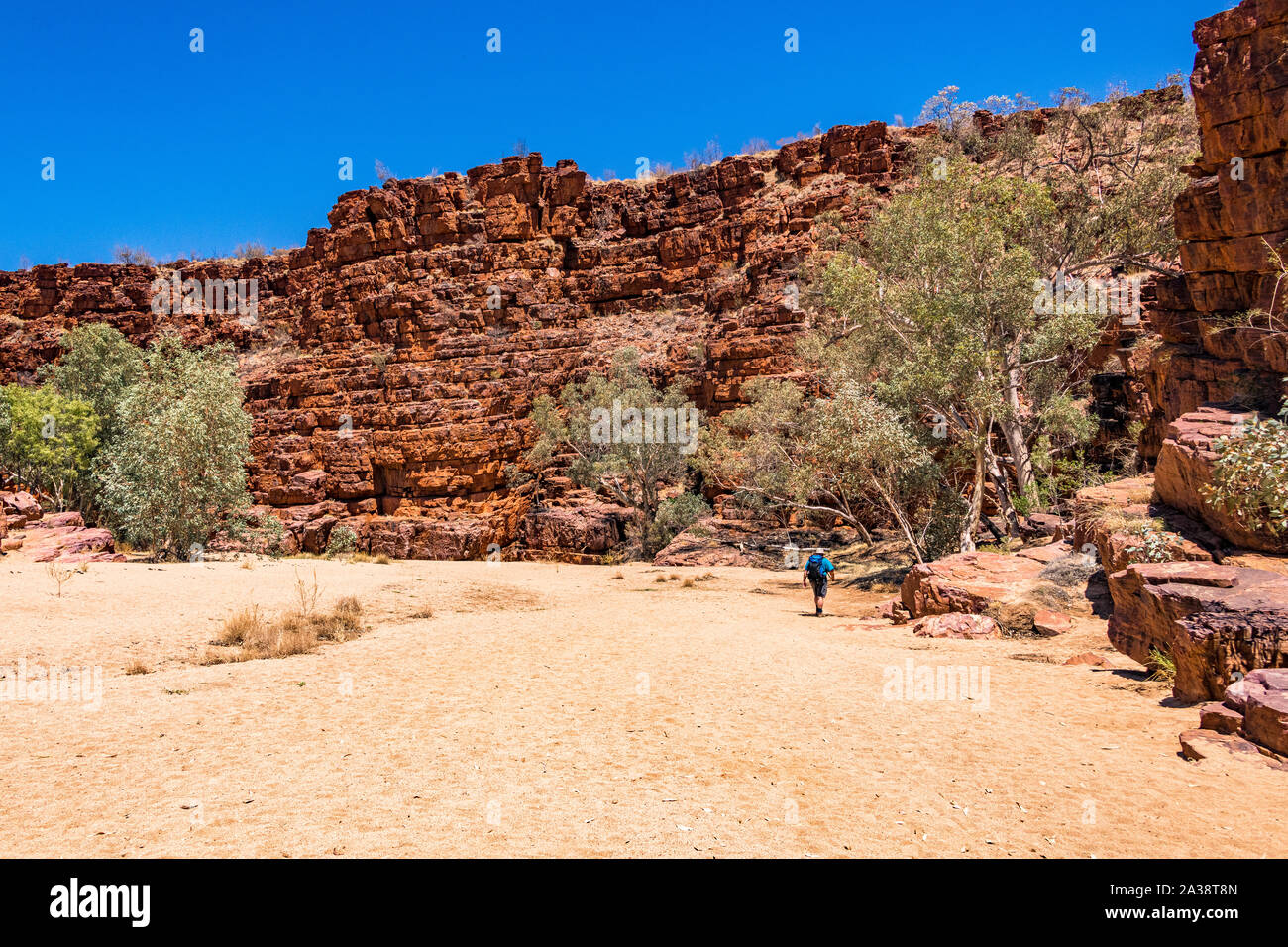 Ein männlicher Wanderer im australischen Outback auf Trephina Gorge, East MacDonnell Ranges, im Northern Territory, Australien Stockfoto