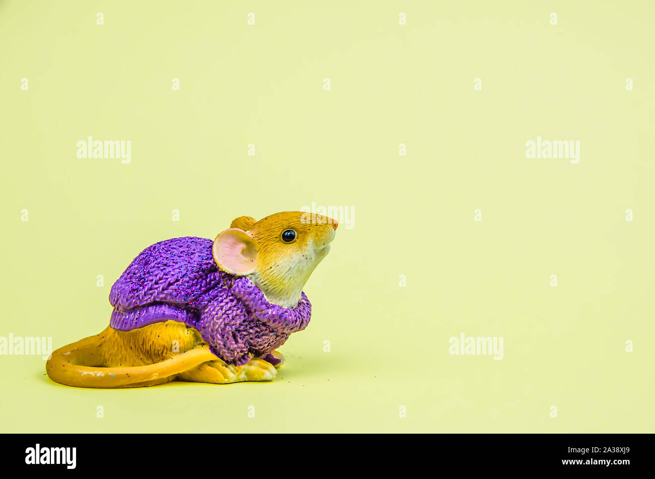 Süße Maus Ratte auf gelbem Hintergrund 2020 Jahr. Kopieren Sie Platz Stockfoto