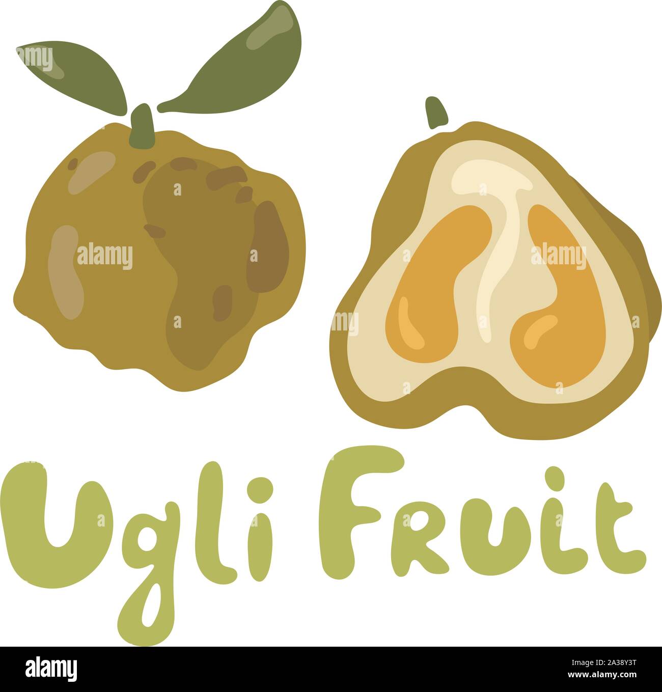 Ugli Obst Aufkleber oder Symbol auf weißem Hintergrund. Helle Vector Illustration von bunten halbe und ganze von saftigen ugli Obst im Comic-Stil Stock Vektor
