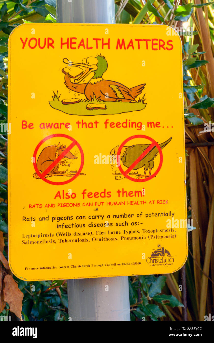 Information der Öffentlichkeit Zeichen-Warnung über die Fütterung der Enten im Park - öffentliche Gesundheit Warnung im Priorat, Christchurch, Dorset, England, UK. Stockfoto