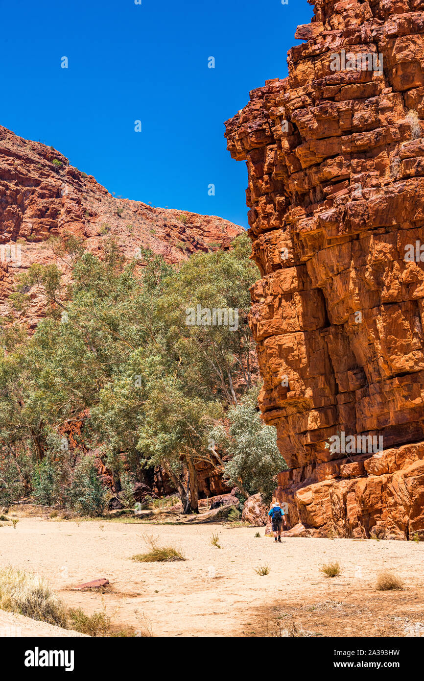 Ein männlicher Wanderer im australischen Outback auf Trephina Gorge, East MacDonnell Ranges, im Northern Territory, Australien Stockfoto