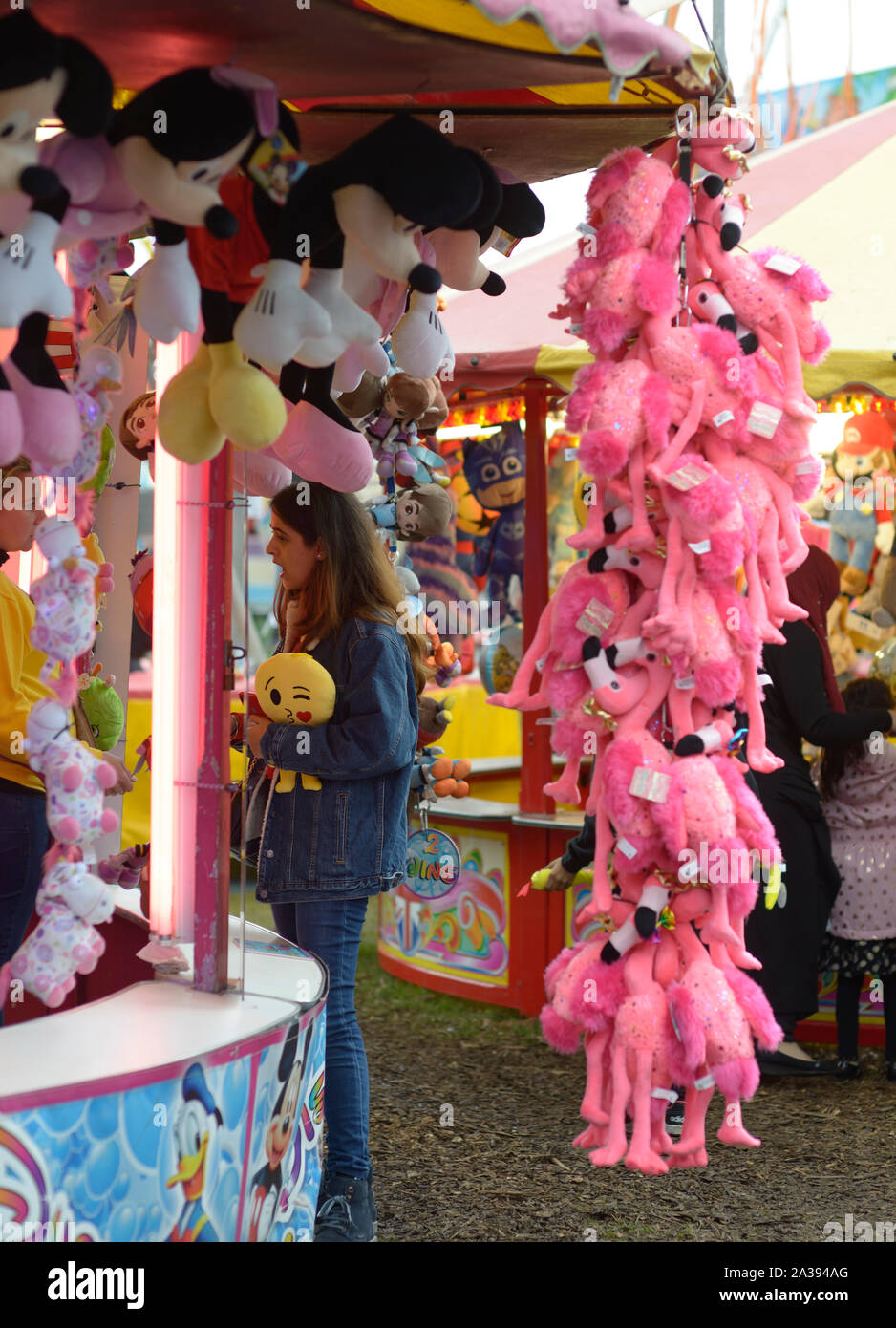 Lange Zeichenkette von Spielzeug Flamingos, an Goose Fair Stockfoto