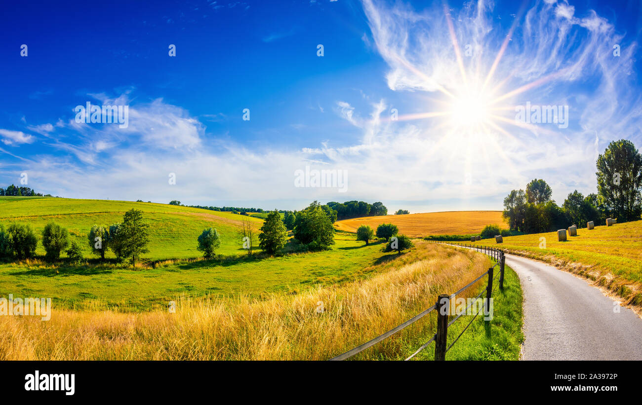 Landschaft im Sommer mit heller Sonne und goldenem Kornfeld - Sommerhintergrund Stockfoto