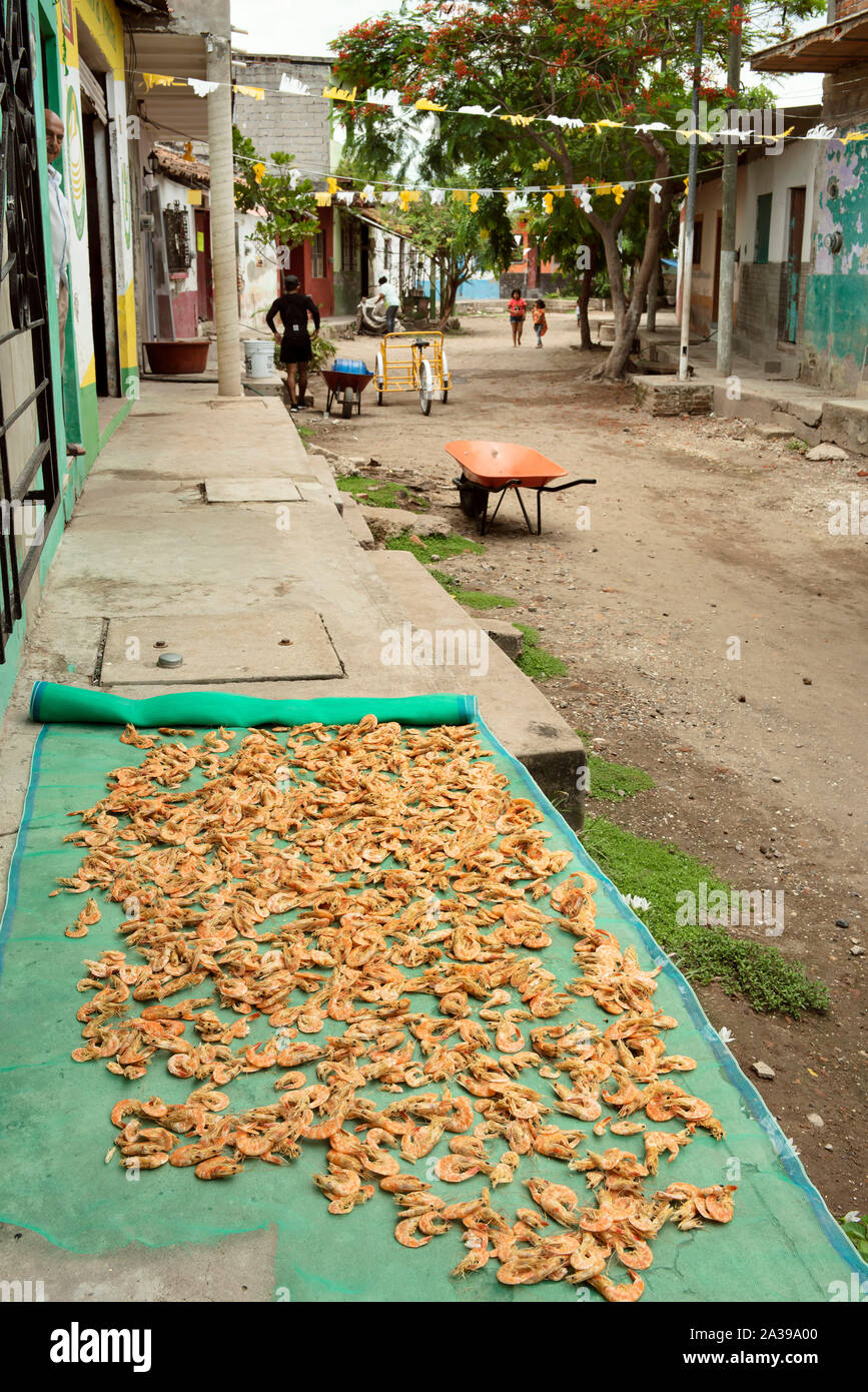 Garnelen (camarones) trocknen auf den Straßen von Mexcaltitán, Nayarit, Mexiko. Garnelen und Fischen sind die wichtigste Industrie der kleinen Insel-Dorf. Jun 2019 Stockfoto
