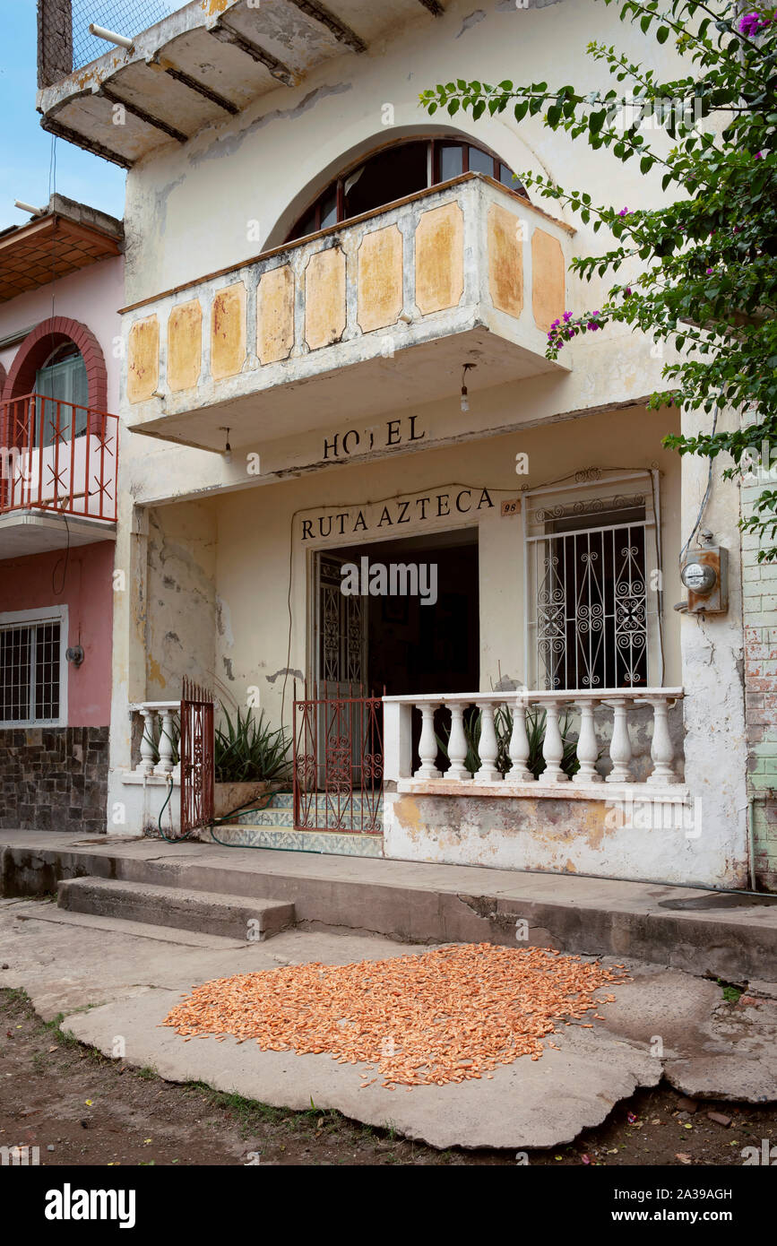 Garnelen (camarones) trocknen außerhalb Ruta Azteca Hotel. Garnelen und Fischen sind die wichtigste Industrie der kleinen Insel-Dorf. Mexcaltitán, Nayarit, Mexiko Stockfoto