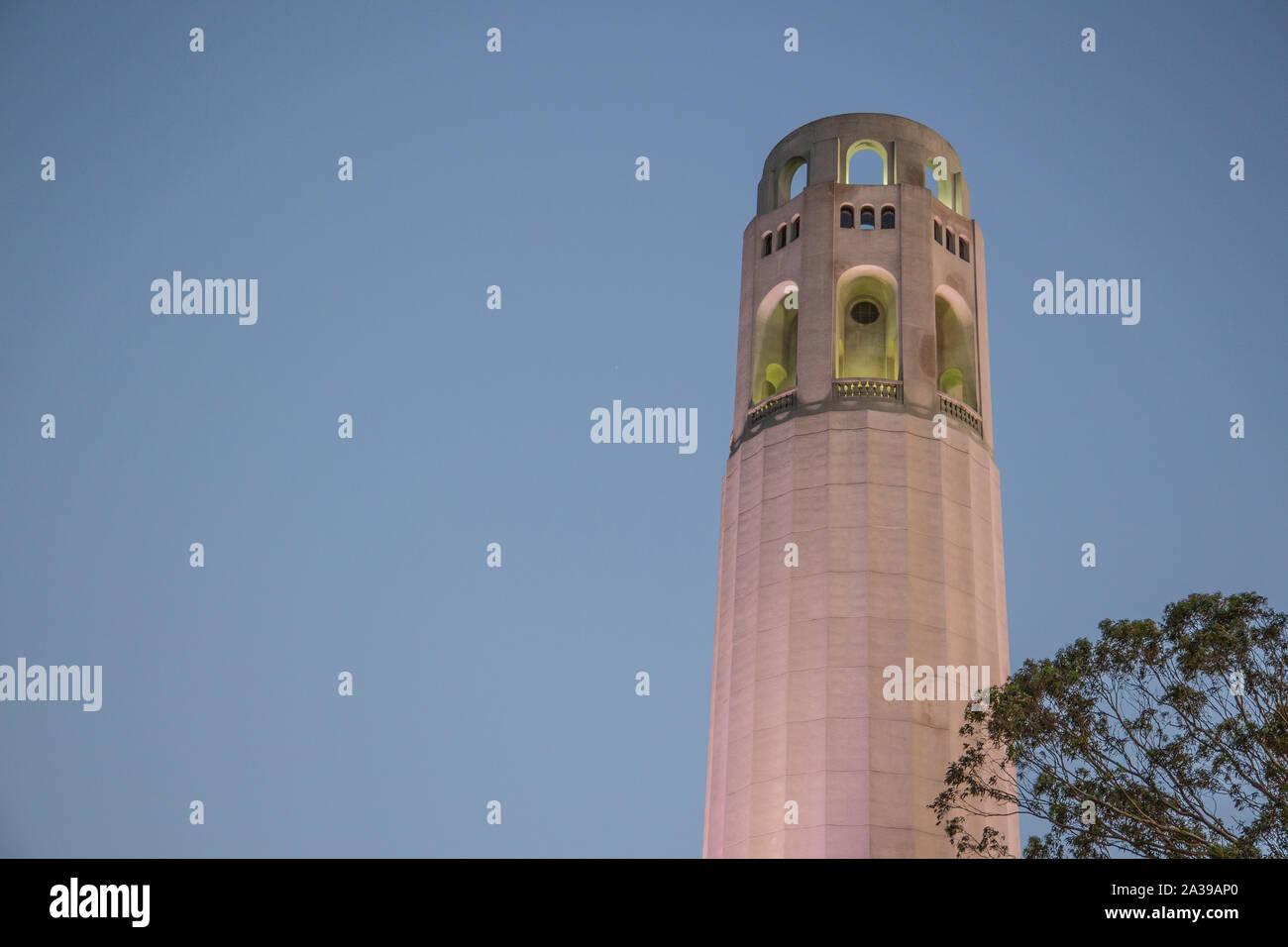 Coit Tower, San Francisco Stockfoto