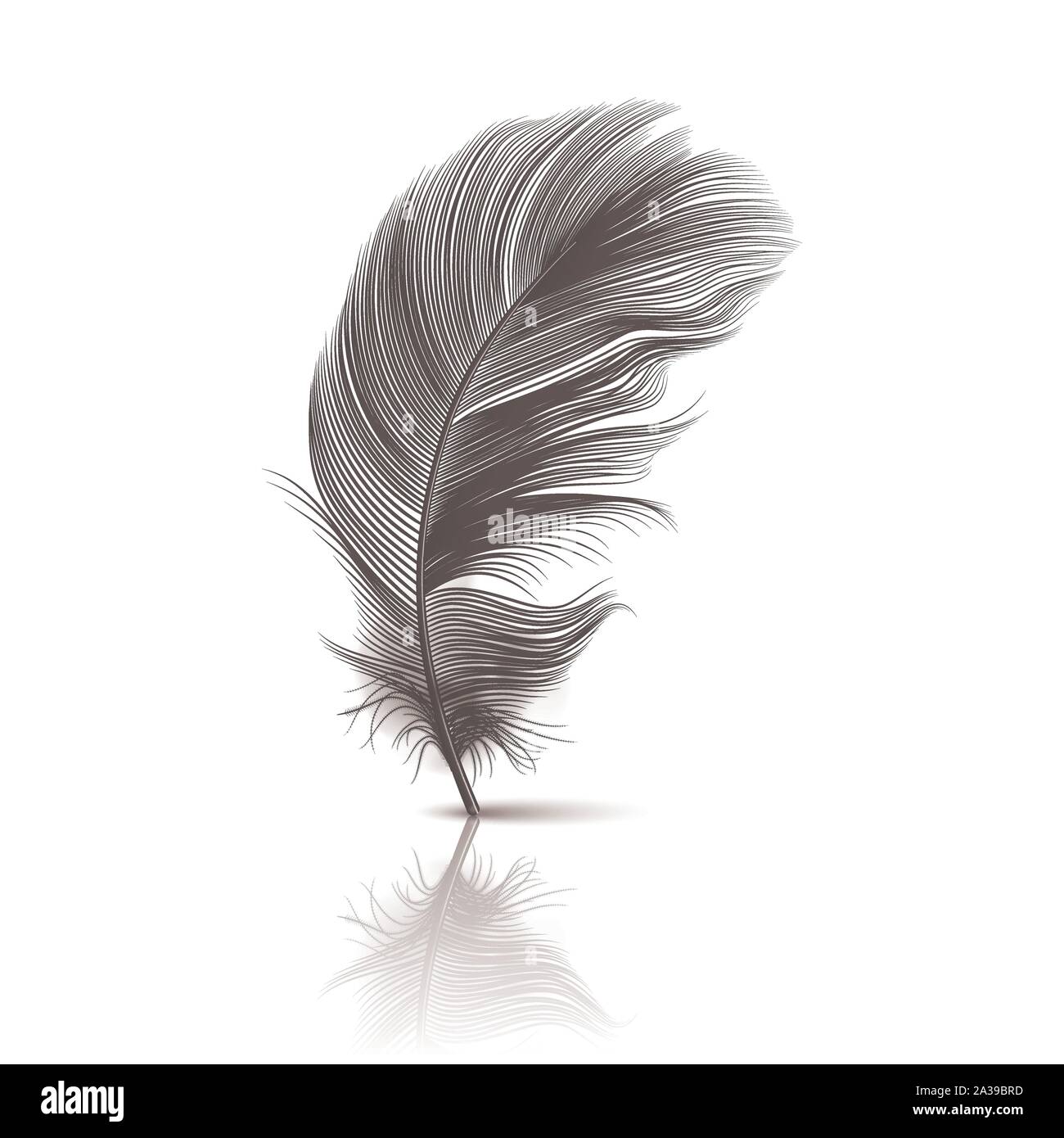 Vector3d Realistisch fallende Schwarz Flauschige Twirled Feder mit Reflexion Closeup isoliert auf weißem Hintergrund. Design Template, Clipart von Engel oder Stock Vektor