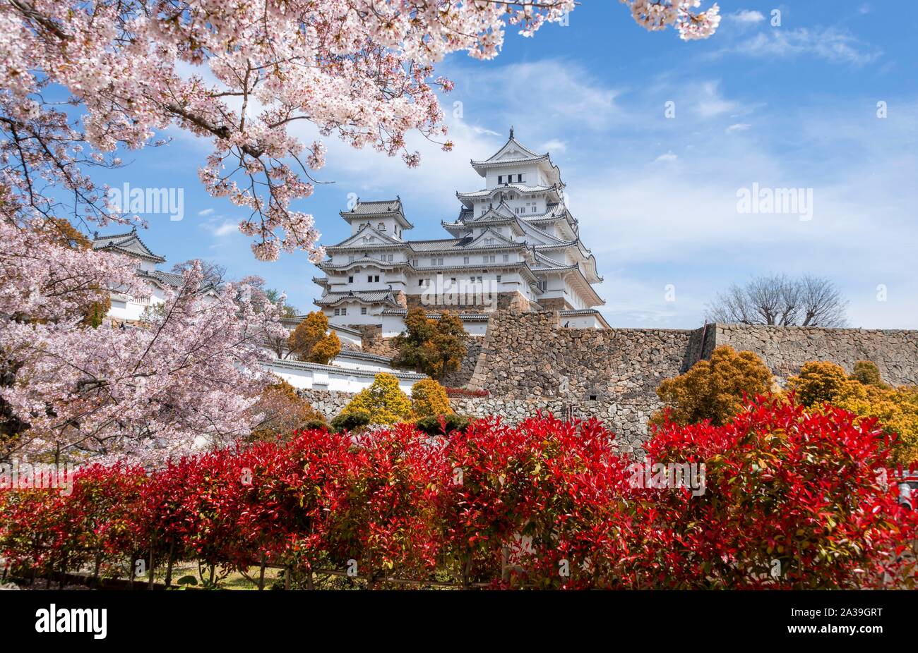 Blühende Kirschbäume, japanische Kirschblüte, Schloss Himeji, Himeji-jo, Shirasagijo oder Burg Weissreiher, Präfektur Hyogo, Japan Stockfoto