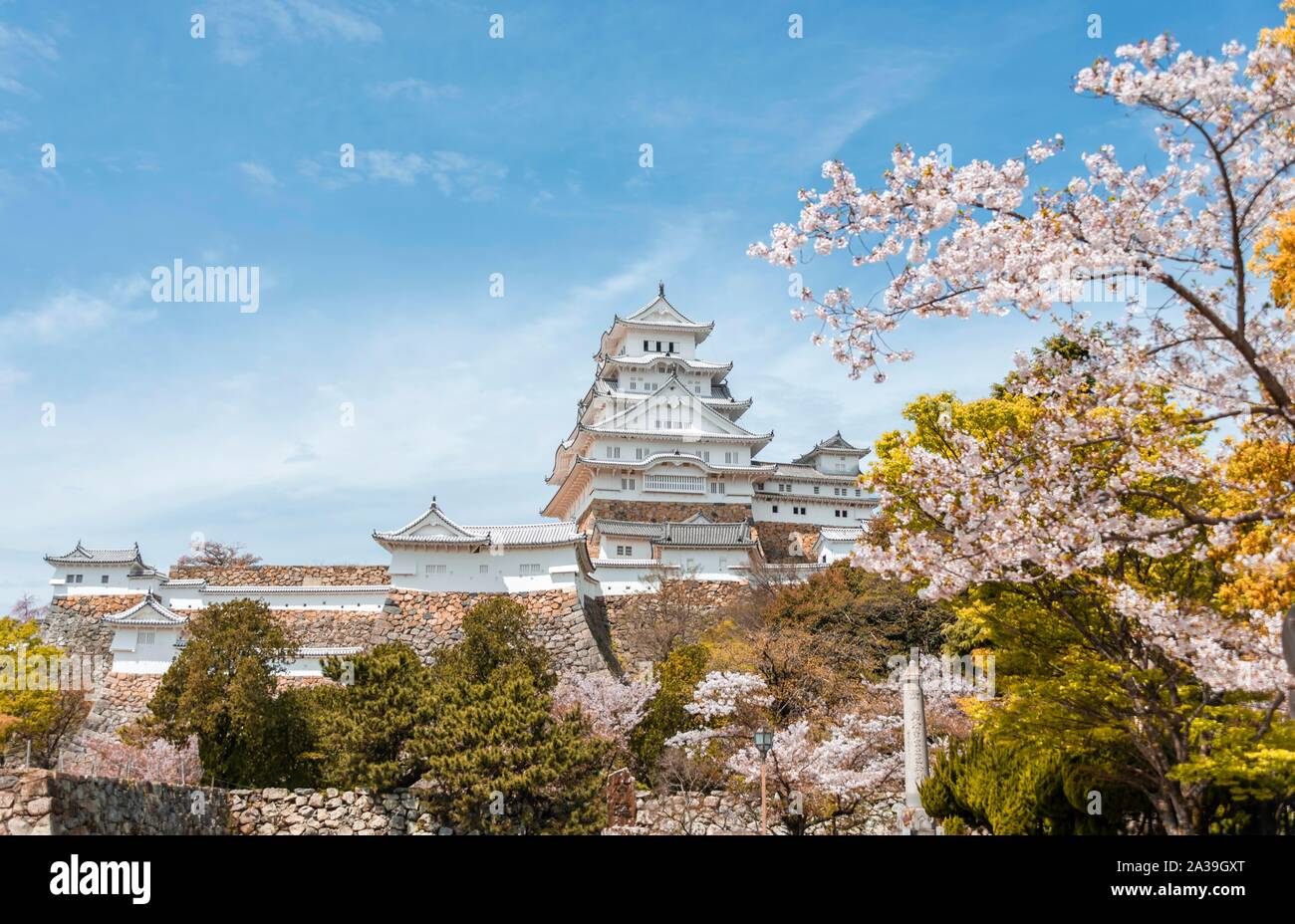 Blühende Kirschbäume, japanische Kirschblüte, Schloss Himeji, Himeji-jo, Shirasagijo oder Burg Weissreiher, Himeji, Hyogo Präfektur, Japan Stockfoto