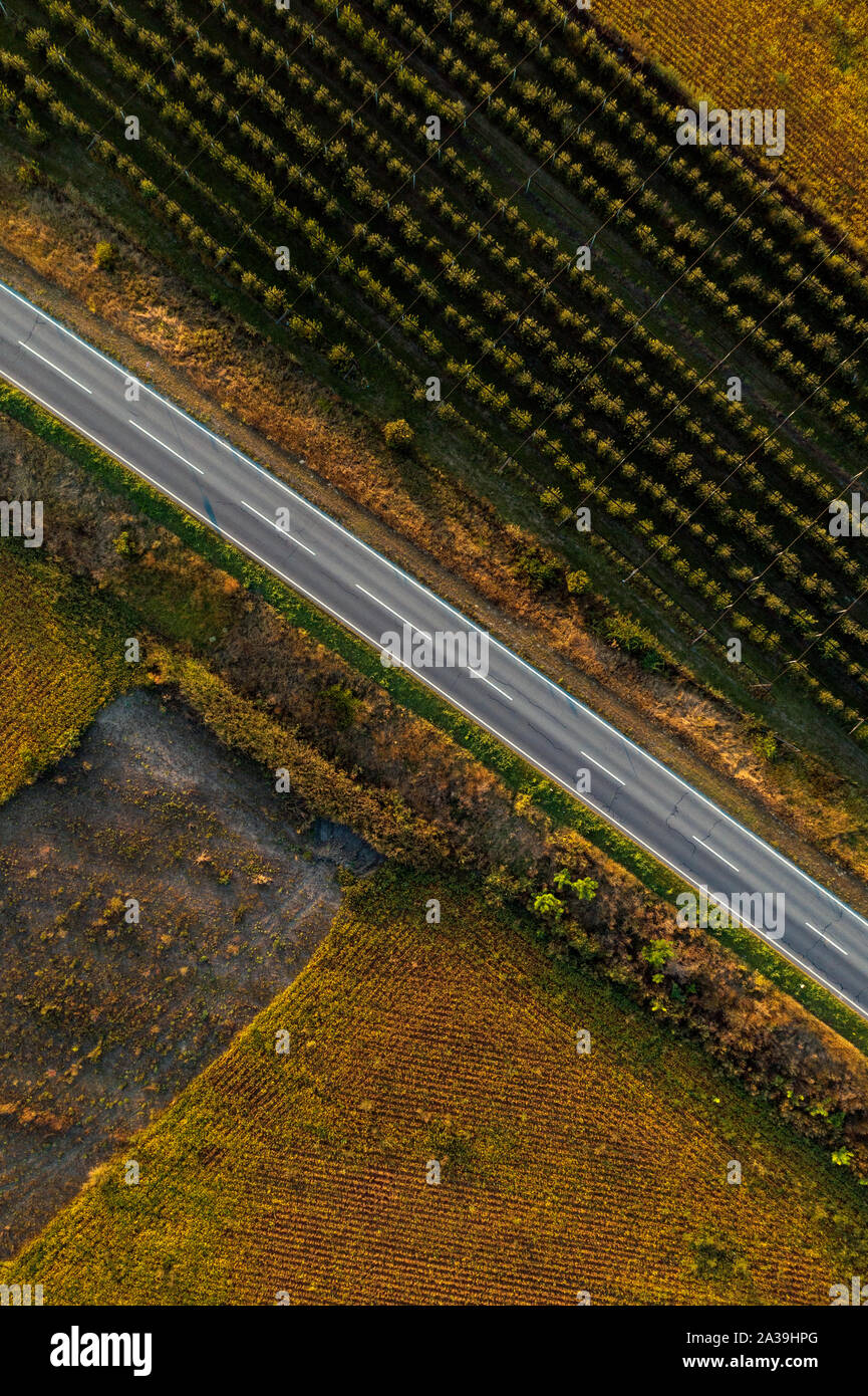 Leere Straße durch die Landschaft von Drone pov im sonnigen Herbstnachmittag Stockfoto