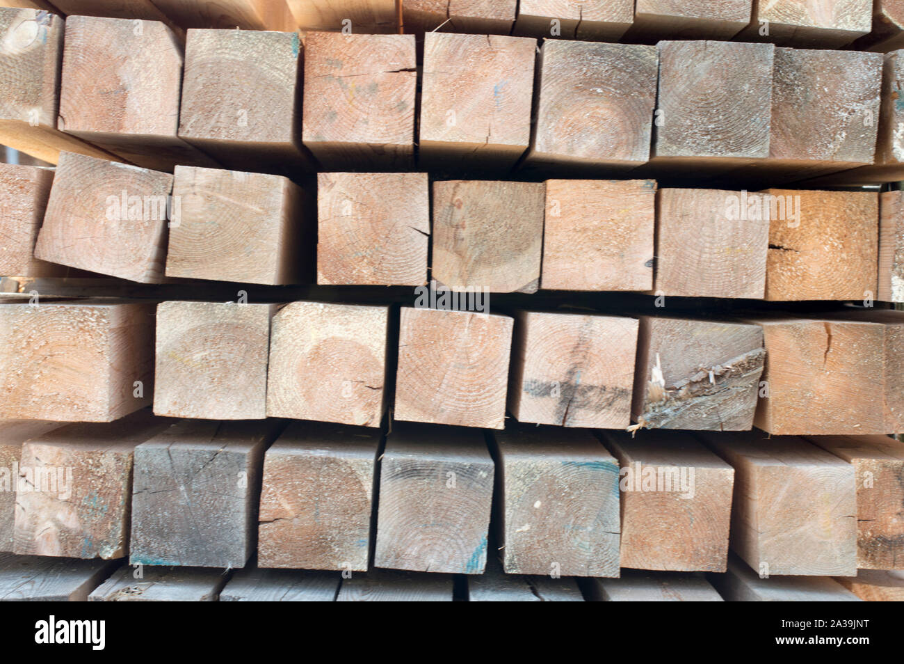 Holz- Platten für Böden und Wände, sind in den Basar für Baustoffe verkauft. Russland. Stockfoto