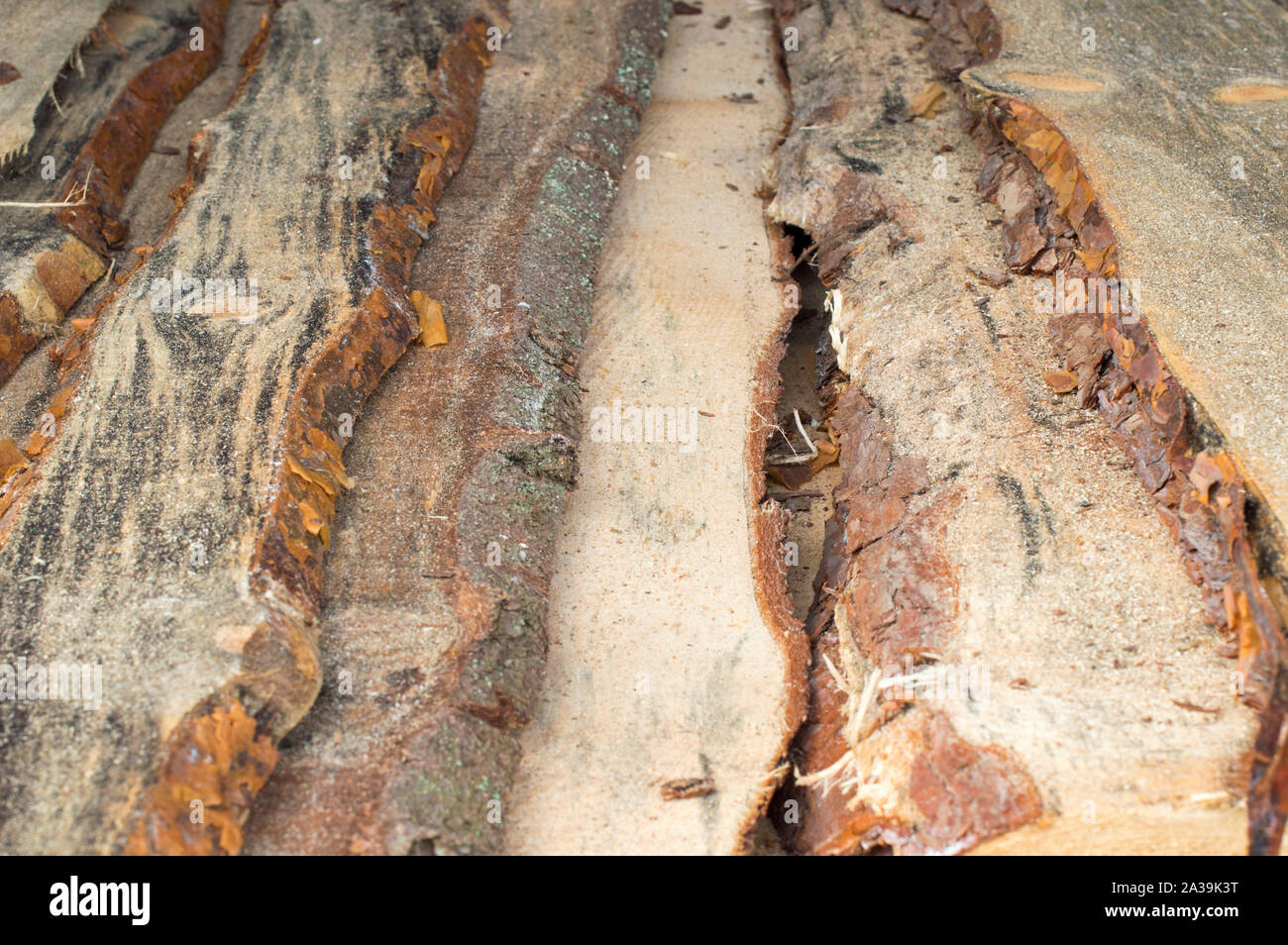 Holz- Platten für Böden und Wände, sind in den Basar für Baustoffe verkauft. Russland. Stockfoto