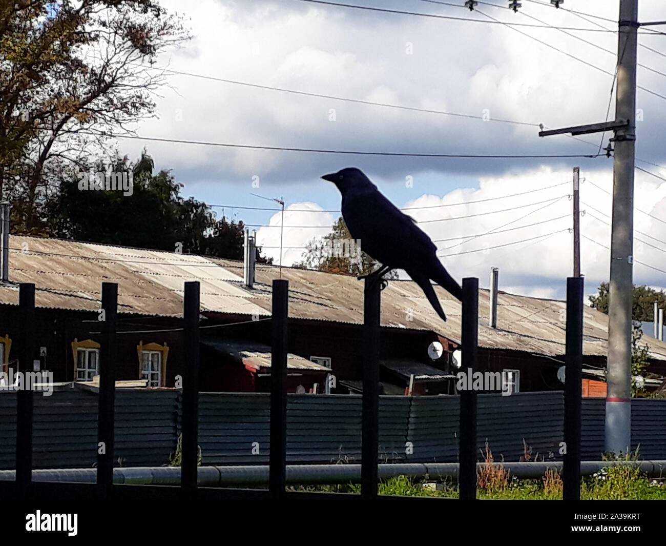 Horizontale Farbe Foto im Gegenlicht - ein Vogel sitzt auf einem Zaun. Silhouette. Symbole und Zeichen. Vogel zu den Nachrichten. Schlechte Nachrichten Stockfoto