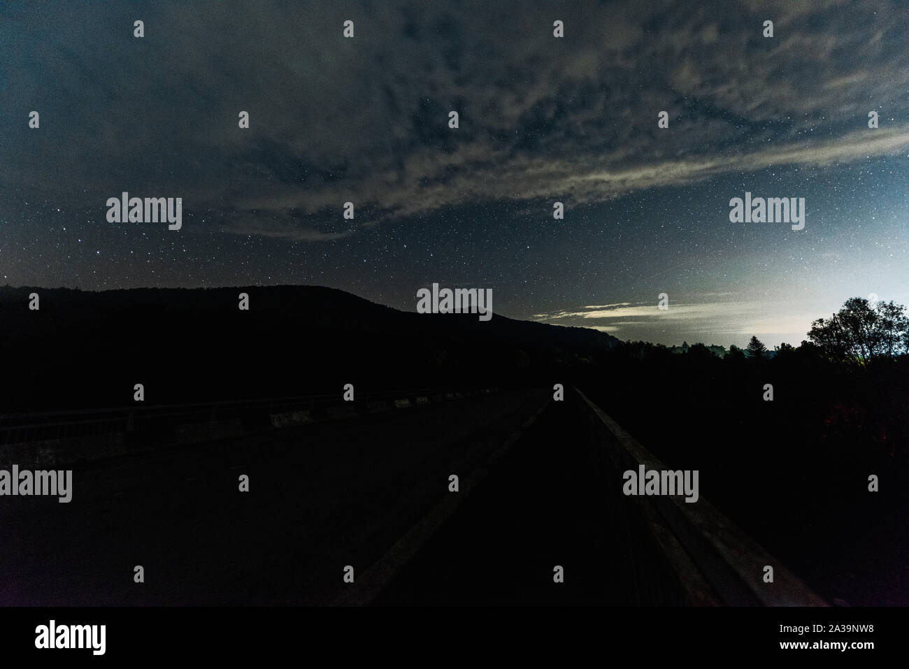 Sterne leuchten im dunklen Wald bei Nacht Stockfoto