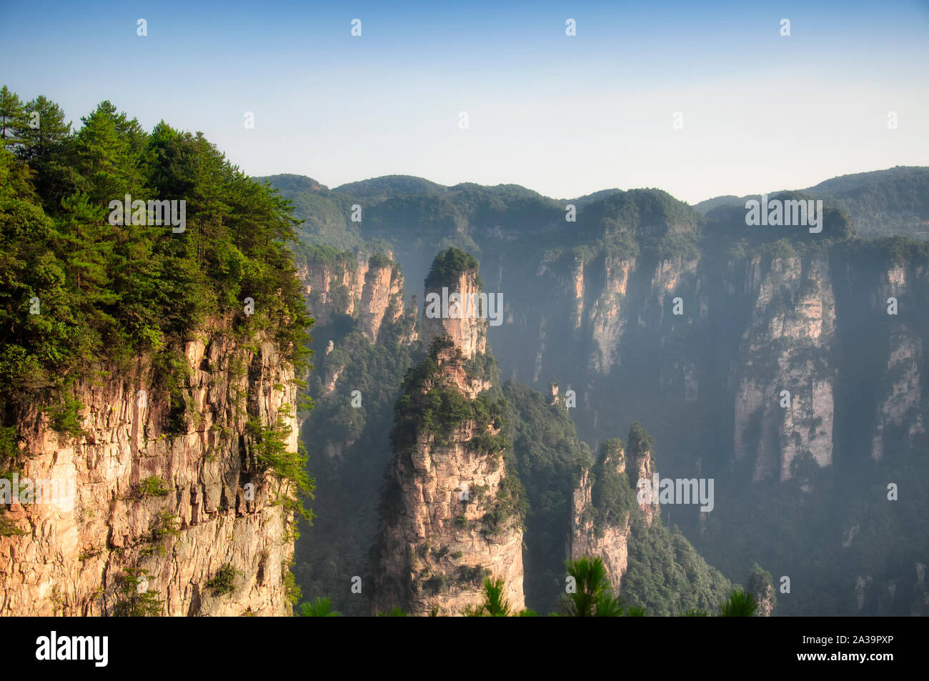 Die ungewöhnlichen Felsformationen und Säulen der Niagara-on-the-Lake Forest Park in der Provinz Hunan China bei Kaiser Thron innerhalb der tianzhi Shan Scenic Area. Stockfoto