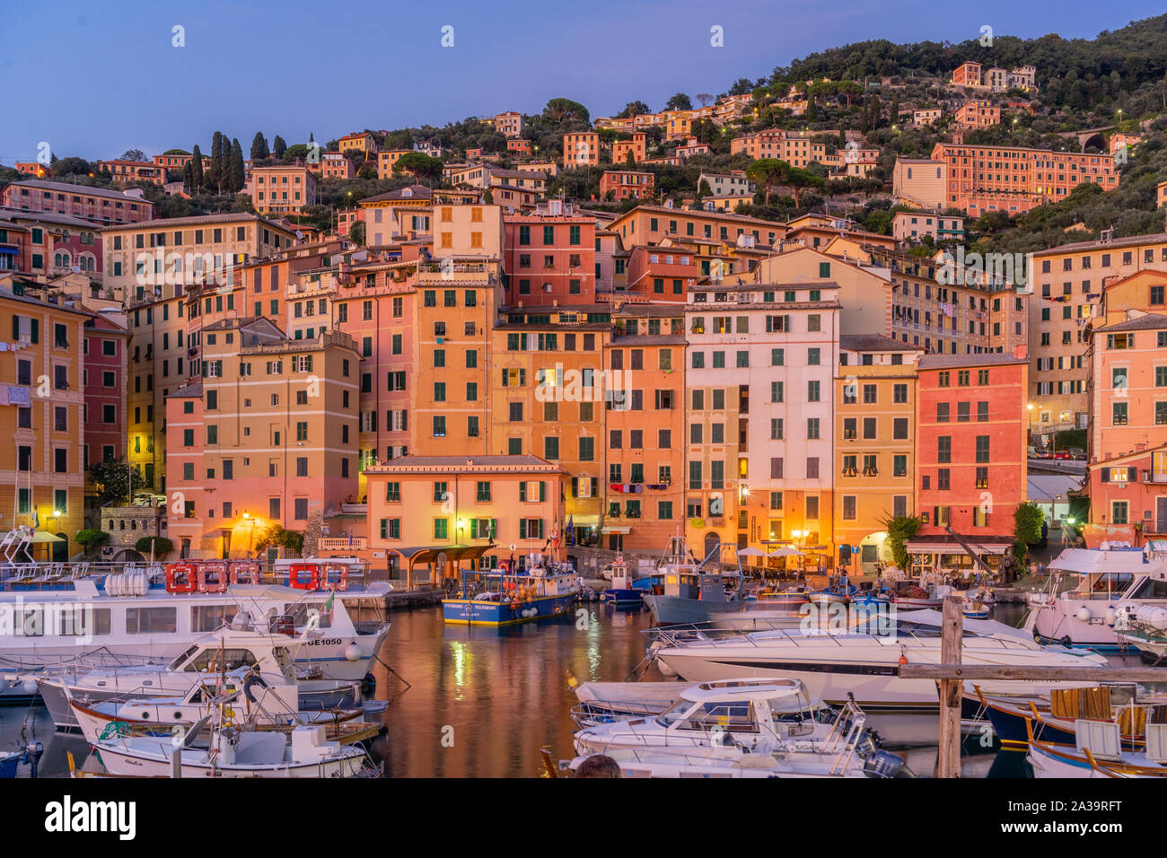 Bunte Häuser und den Hafen von Camogli Meer während der Dämmerung, Camogli, Ligurien, Italien 2019 Stockfoto