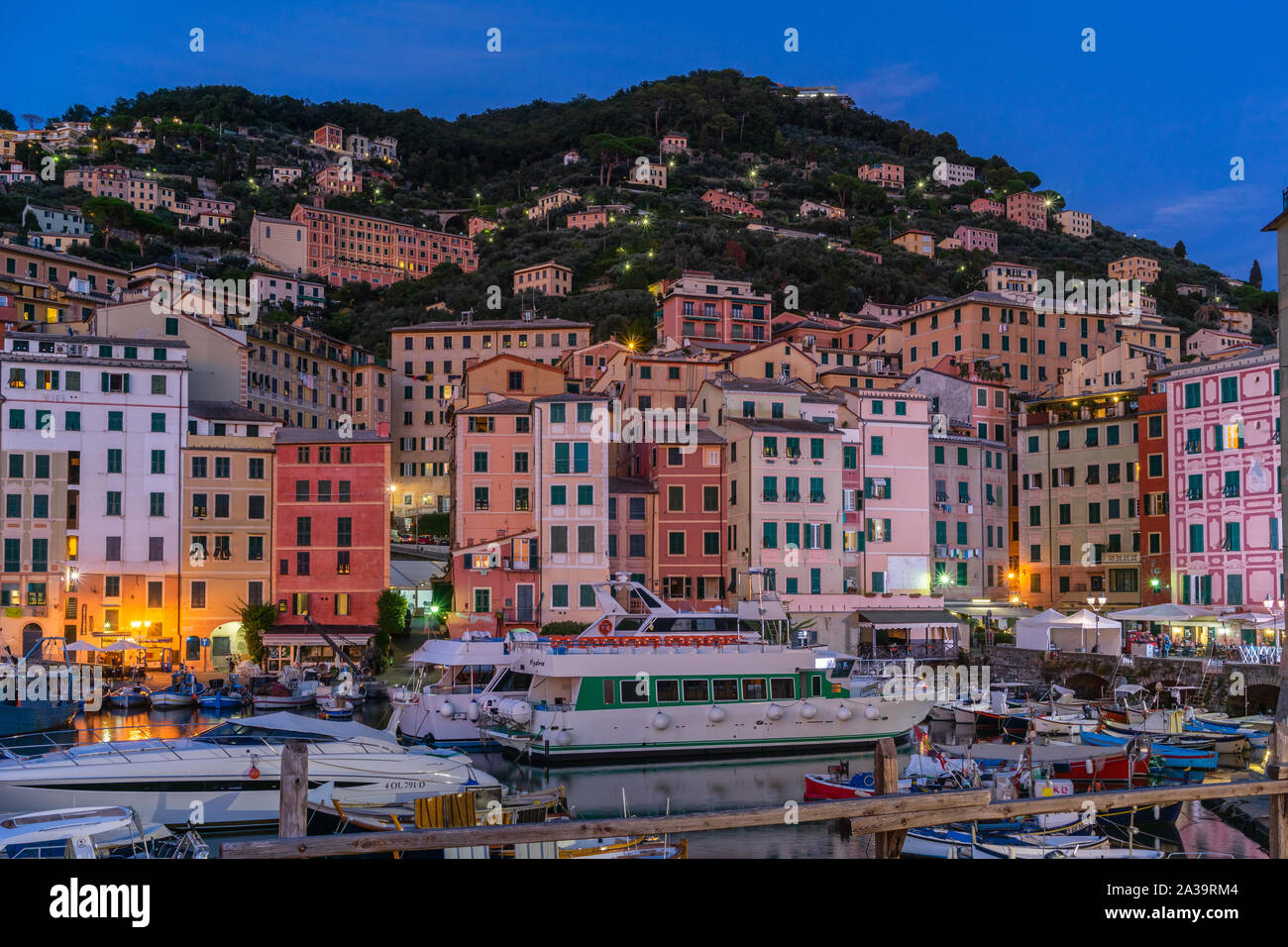 Bunte Häuser und den Hafen von Camogli Meer während der Dämmerung, Camogli, Ligurien, Italien 2019 Stockfoto