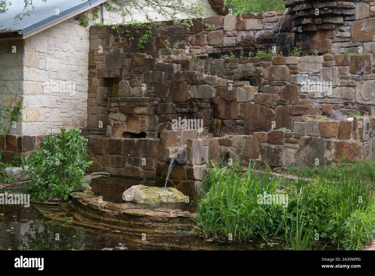 Szene aus dem Lady Bird Johnson Wildflower Center, Teil der Universität von Texas in Austin aber 10 km südlich der Hauptstadt von Texas Stockfoto