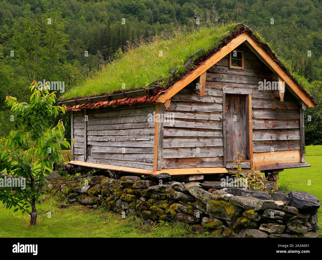 Norwegische Hütte mit grünem Gras auf dem Dach, Norwegen Stockfoto