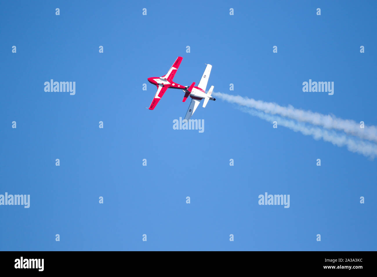Royal Canadian Air Force die Snowbirds. Die in der Großen pazifischen Airshow Huntington Beach Kalifornien USA. Die größte Airshow in den USA Stockfoto