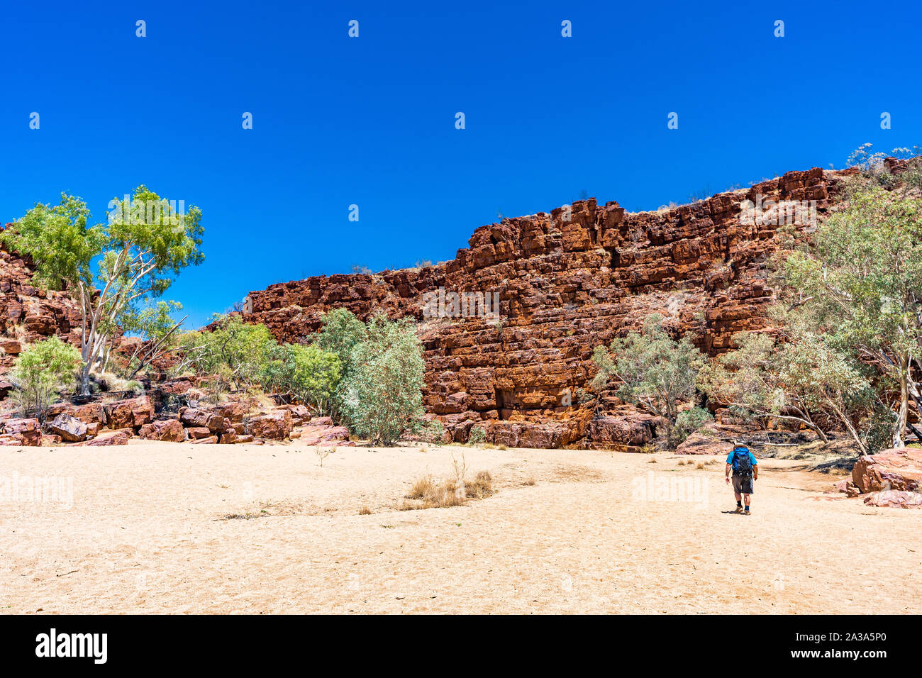 Ein männlicher Wanderer auf der Trephina Gorge Walk im Osten MacDonnell Ranges, im Northern Territory, Australien Stockfoto