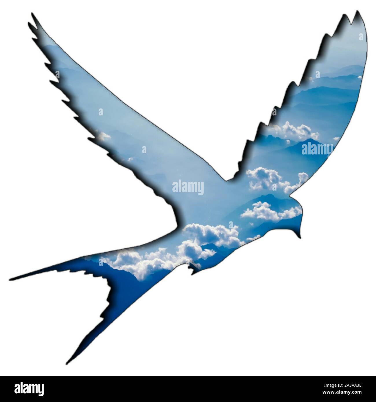 Vogel Bild mit Himmel Hintergrund Stockfoto