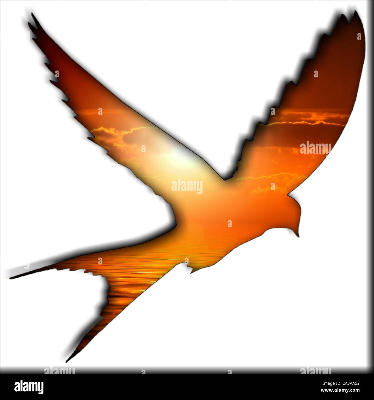 Vogel Bild mit Himmel Hintergrund Stockfoto