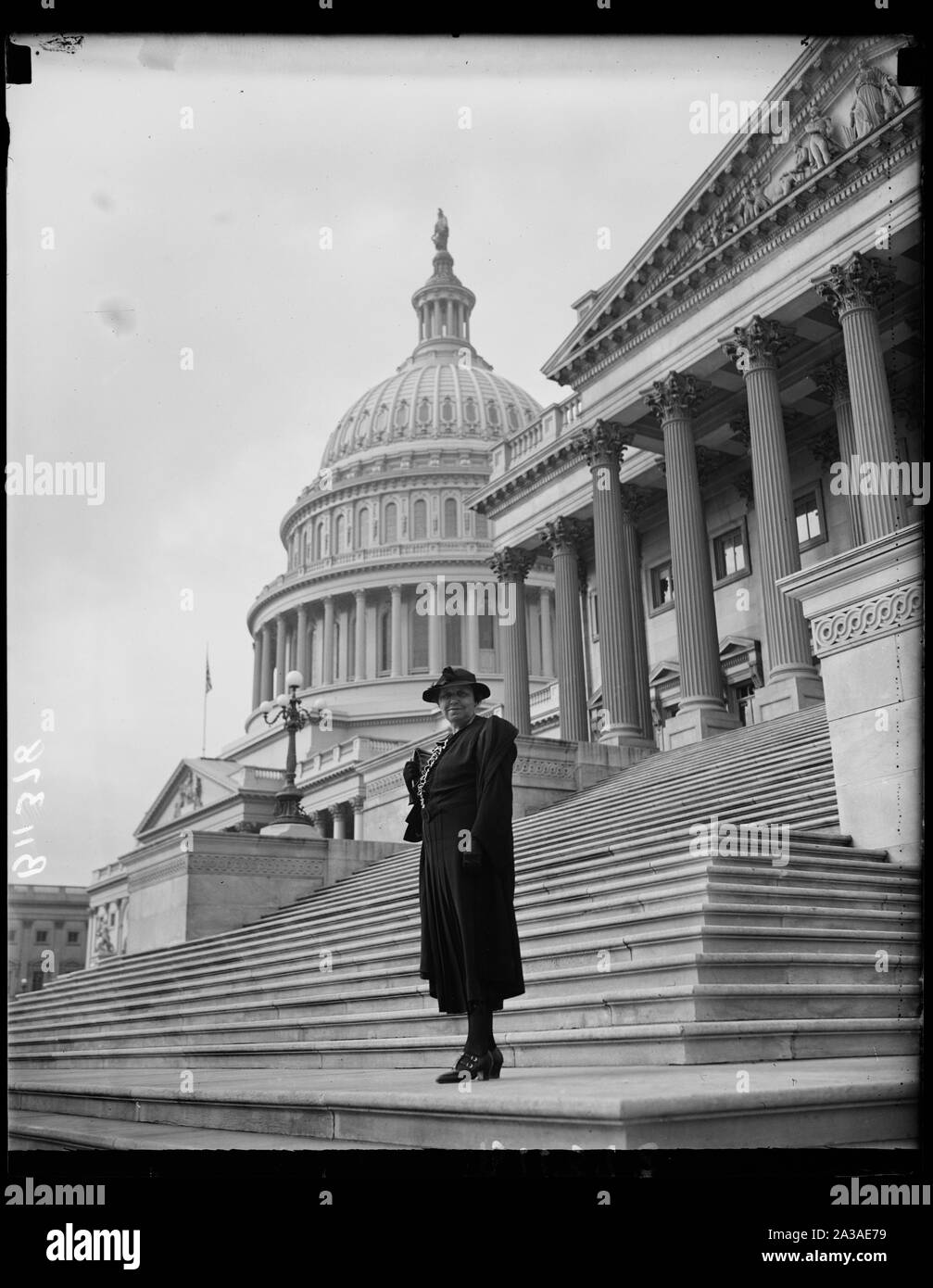 Sen Hattie W. Kümmel Stockfoto
