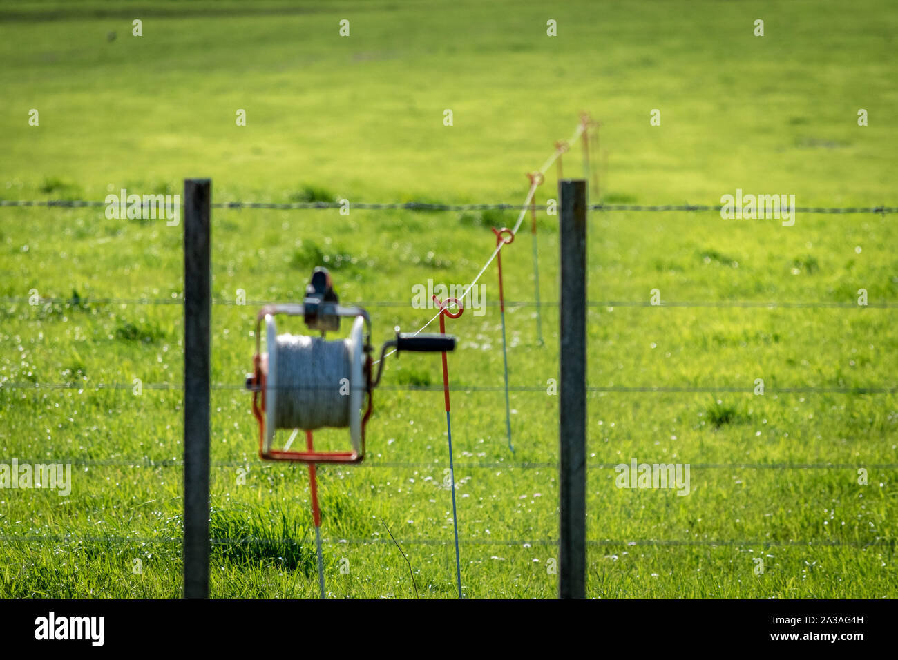 Elektrische Kabel, die durch einen padock auf einem Milch Farm Stockfoto