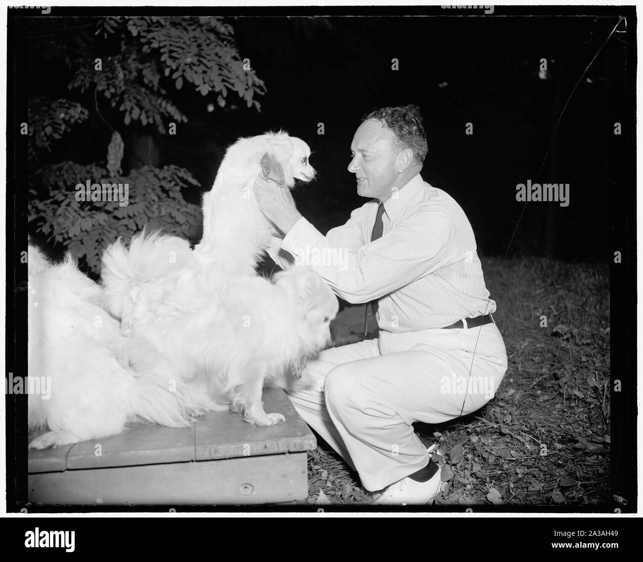 Senator Harry Flut Byrd, Demokrat von Virginia. Stockfoto