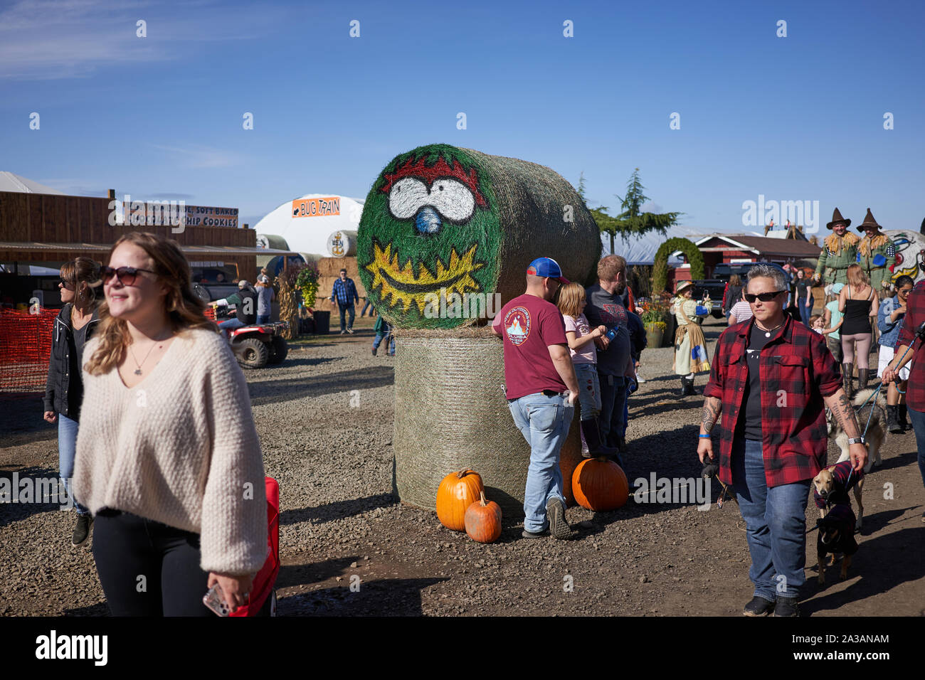 Kürbisbeet und Herbsterntefestival Szene in Bauman's Farm in Gervais, Oregon, gesehen am Samstag, 5. Oktober 2019. Stockfoto