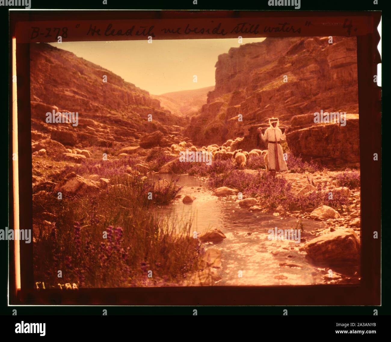 Satz von dreizehn wählen Sie Folien von Hirten leben, die die Xxiii. Psalm. Er führt mich zum Ruheplatz am Wasser Stockfoto