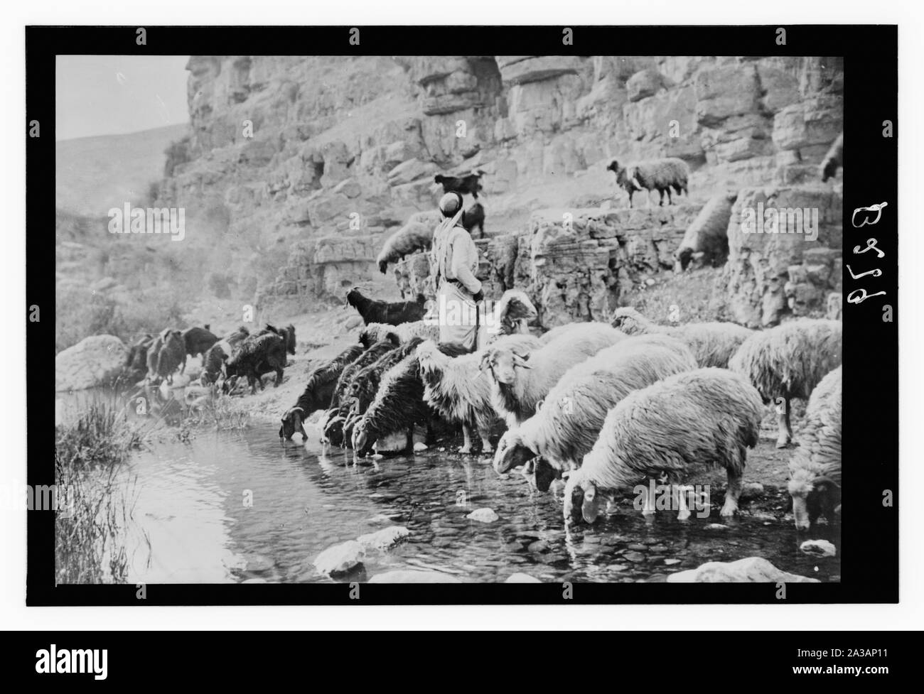 Satz von dreizehn wählen Sie Folien von Hirten leben, die die Xxiii. Psalm. Er erquicket meine Seele Stockfoto