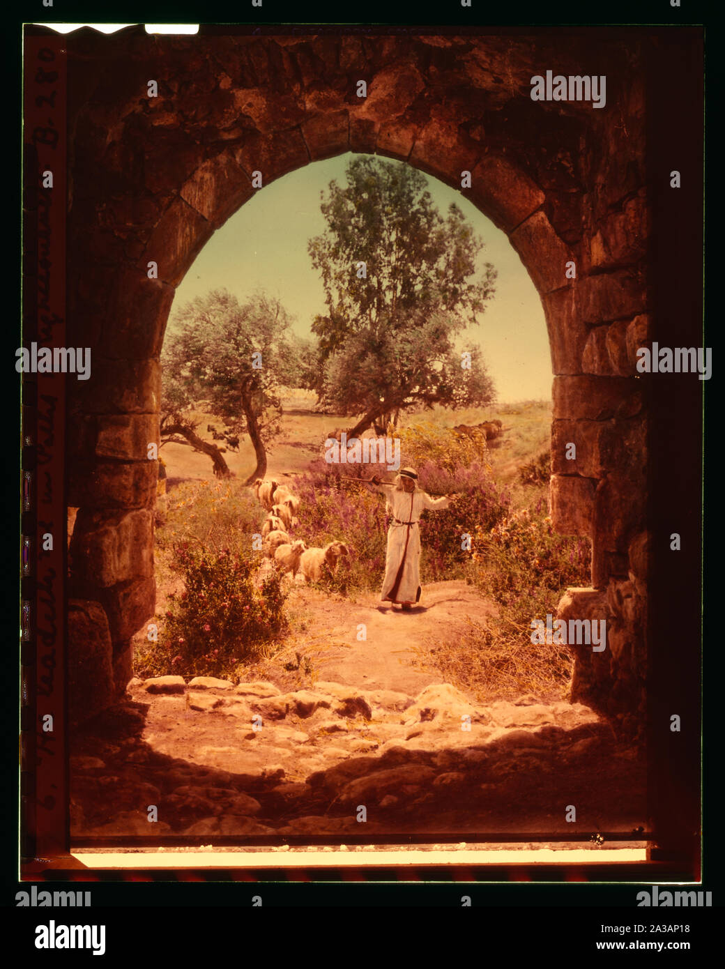 Satz von dreizehn wählen Sie Folien von Hirten leben, die die Xxiii. Psalm. Er leitet mich in Pfaden der Gerechtigkeit. Stockfoto