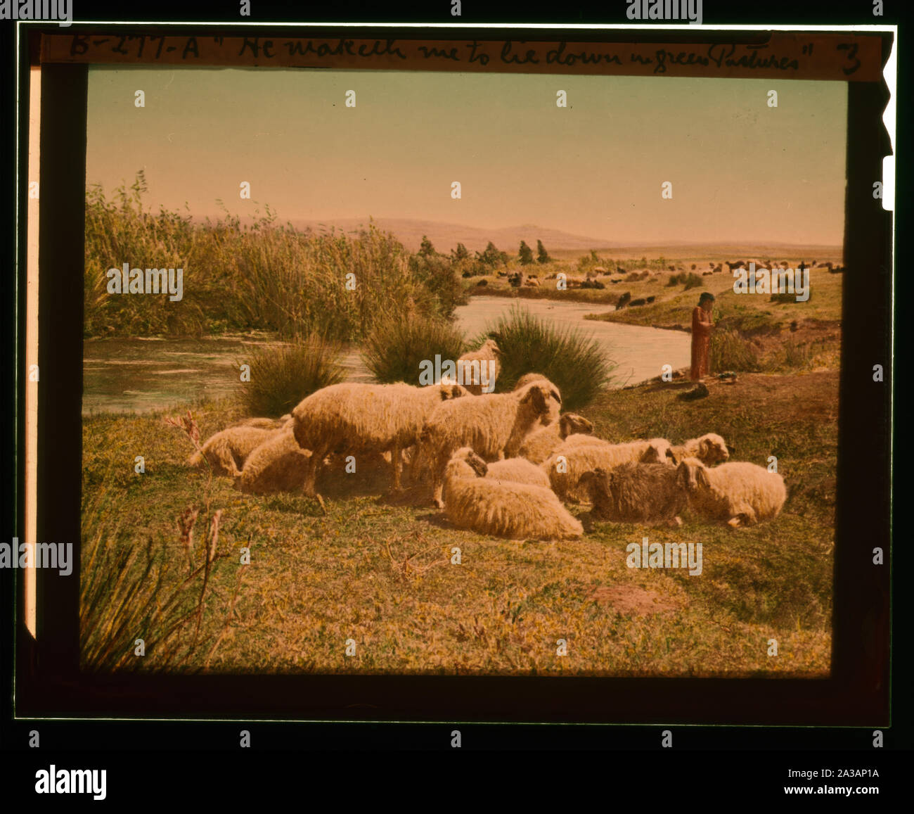 Satz von dreizehn wählen Sie Folien von Hirten leben, die die Xxiii. Psalm. Er weidet mich auf grünen pasures liegen Stockfoto